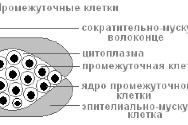 Kraken market place