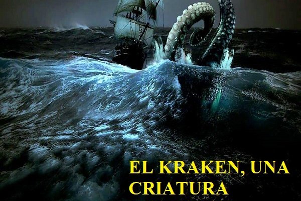 Kraken 6 at