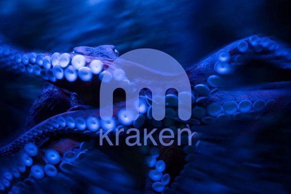 Kraken zerkalo официальный сайт