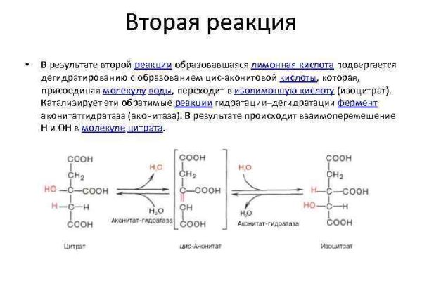 Krn 2at