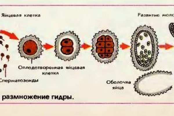 Kraken ссылка для тору