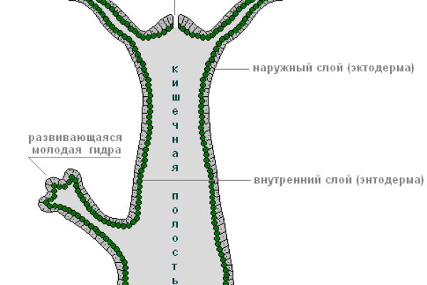 Как зайти на kraken в 2024