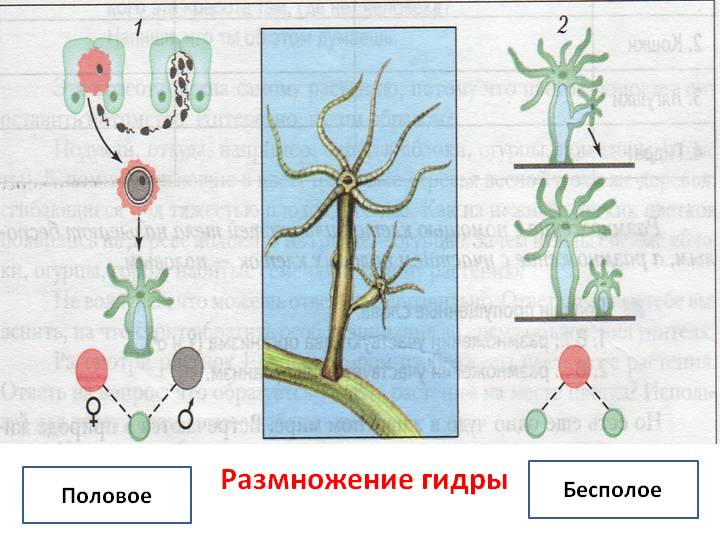 Реальная ссылка кракен